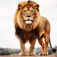 Leon