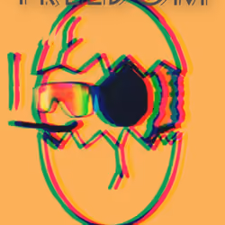 Freedom to Reborn