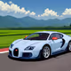 Car Punq