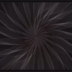 591