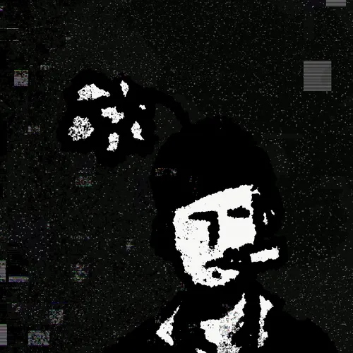 Contemflower