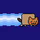 based rainbow cat