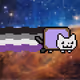 310