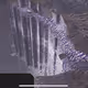Reptilian Buildings in Florida