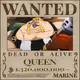 WANTED
