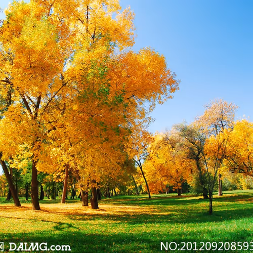 barbara82953003 - Member