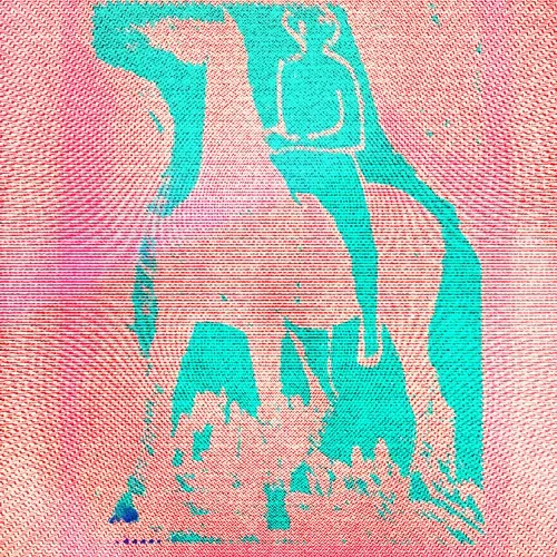 K1N1 Foundation