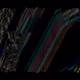 Raupe