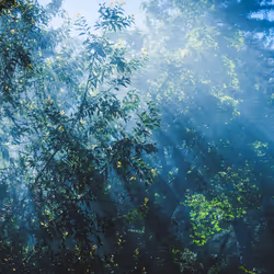 Big Sur - 18