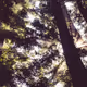 Big Sur - 17