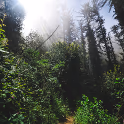 Big Sur - 13