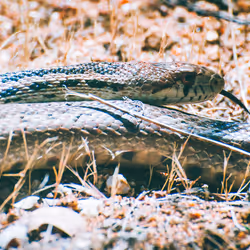 Yosemite - 02