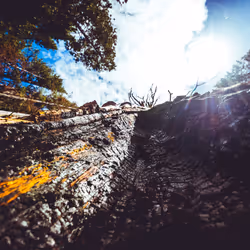 Yosemite - 12