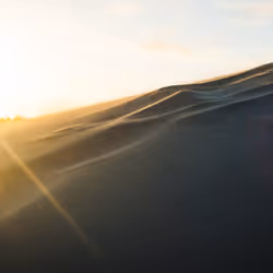 Oregon Dunes - 02