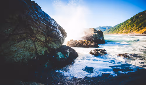 Item #411 Media