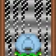579