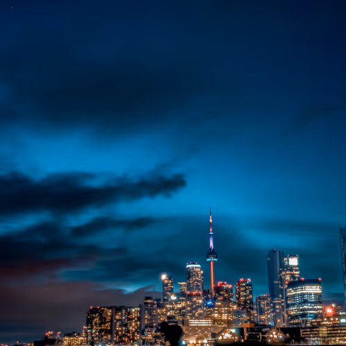 Bright Lights Cold Nights