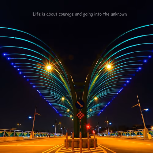 Wings of the Night