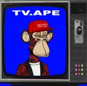 TV.APE #1217
