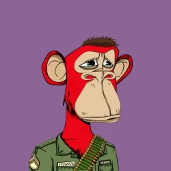 45