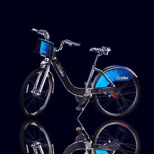 Citi Bike Race