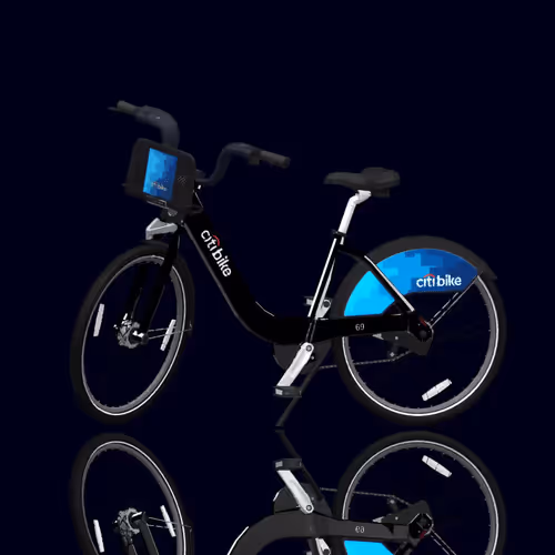 Citi Bike Race