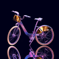 Bike #13301072598090581