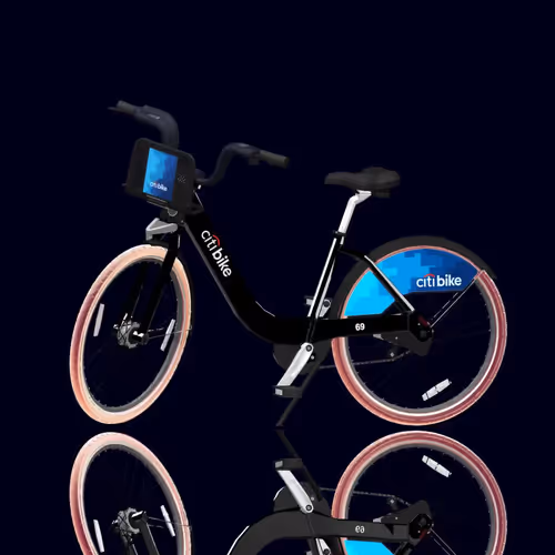 Citi Bike Race