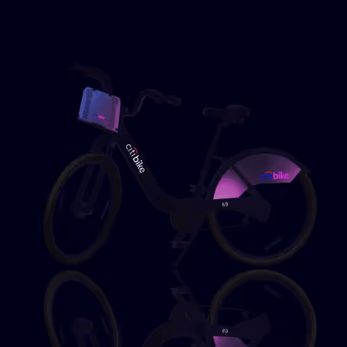 Citi Bike Race