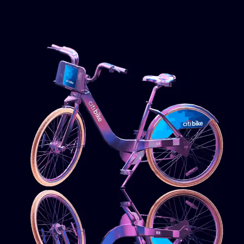 Citi Bike Race