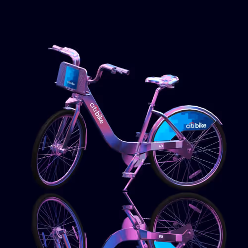 Citi Bike Race