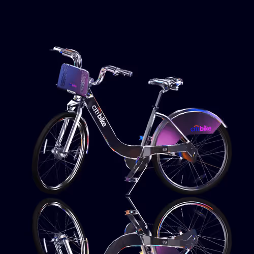 Citi Bike Race