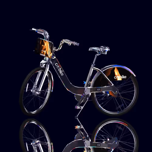 Citi Bike Race