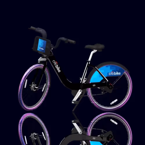 Citi Bike Race