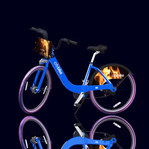 Citi Bike Race