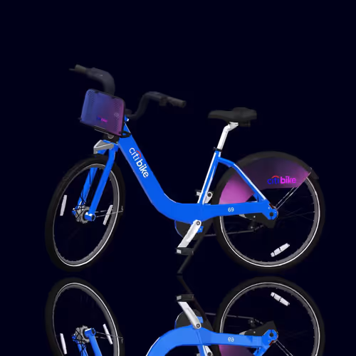 Citi Bike Race