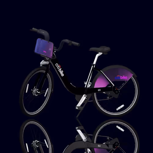 Citi Bike Race