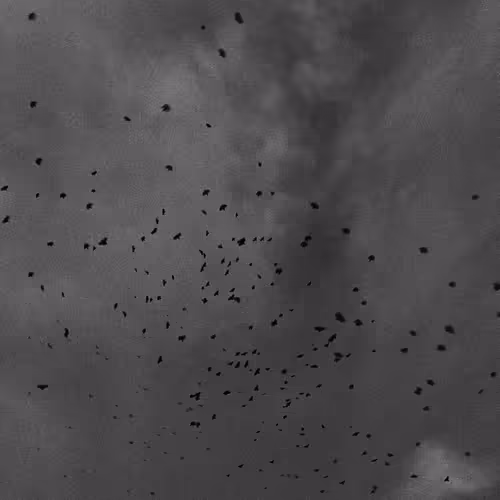 Sky 828