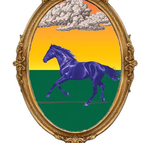 Rodeo Posts 790