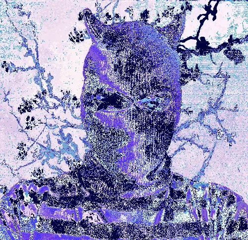 𝕿𝖍𝖊 𝖈𝖔𝖑𝖔𝖗𝖘 𝖜𝖎𝖙𝖍𝖎𝖓