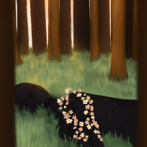 Fragments of My Soul