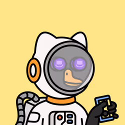 55