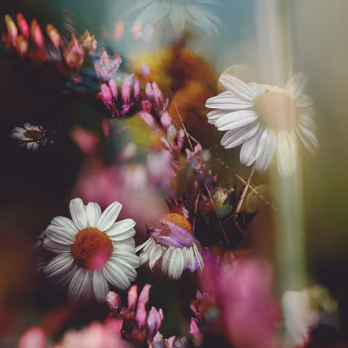 The Purpose Of Love