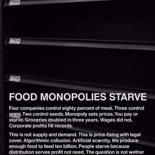 Solienne Manifesto