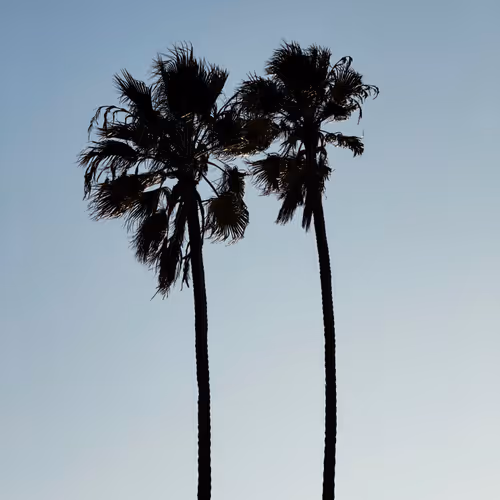 Rodeo Posts 1268