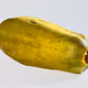 1122