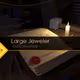 [LIMITED EDITION] Large Jeweler 