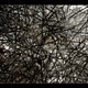 Wires