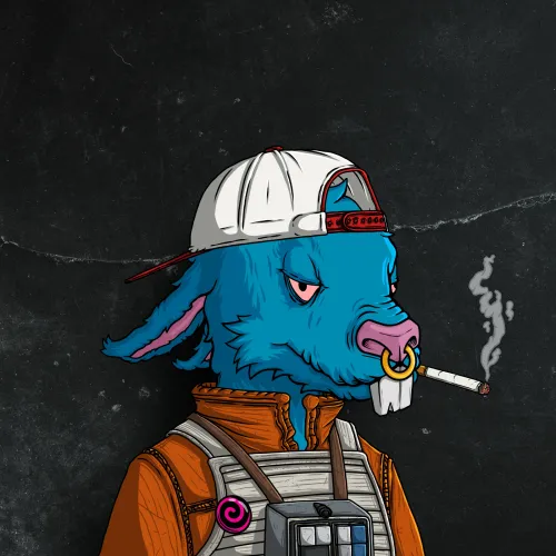 Item #31783044665603522597051572670568993386613541800096039178831107868388451418178 Media