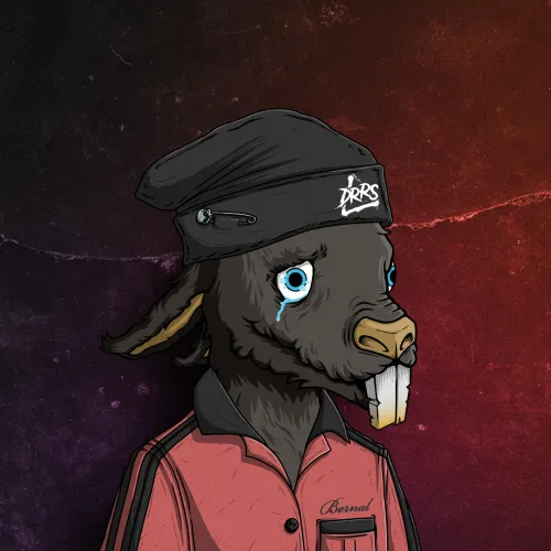 Item #31783044665603522597051572670568993386613541800096039178831107868388451418144 Media